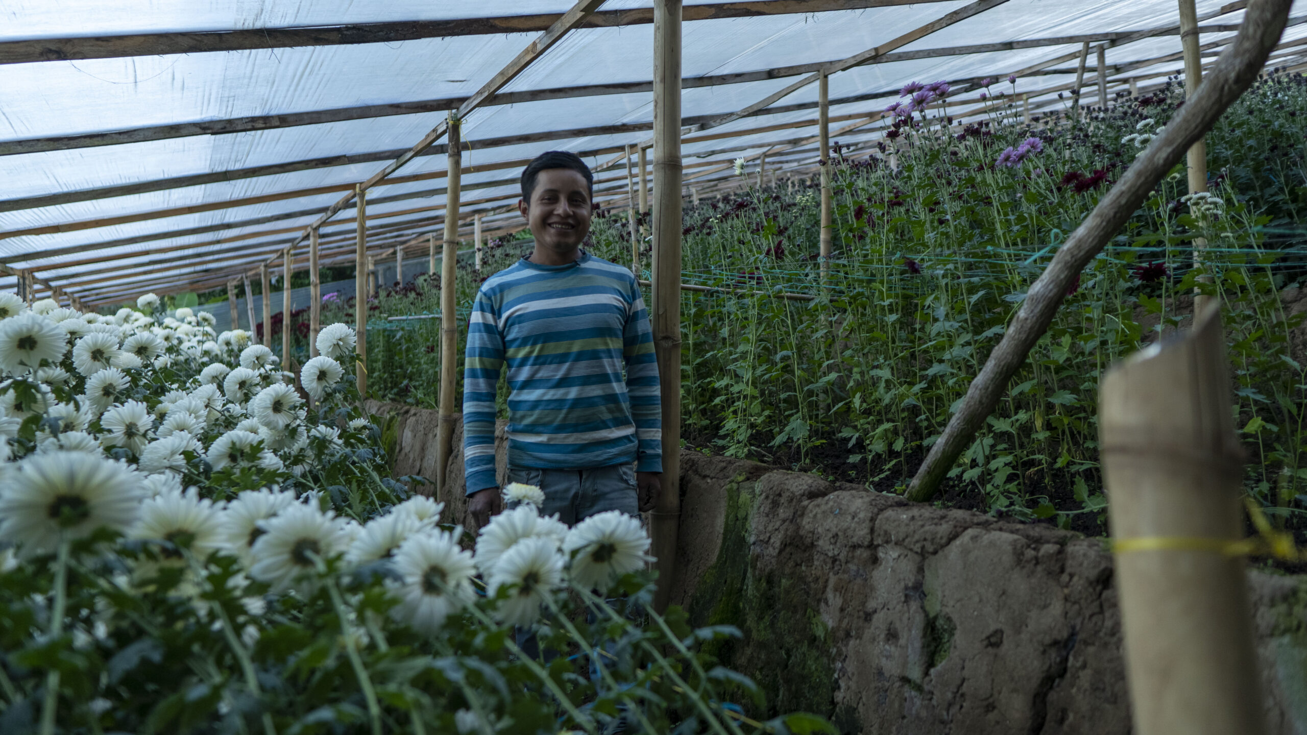 Ciudadano Responsable | Progreso, en todo lo que hacemos