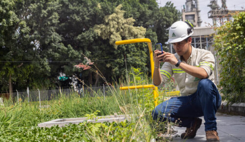 El corazón verde de Progreso que impulsa la sostenibilidad en la región | Progreso, en todo lo que hacemos