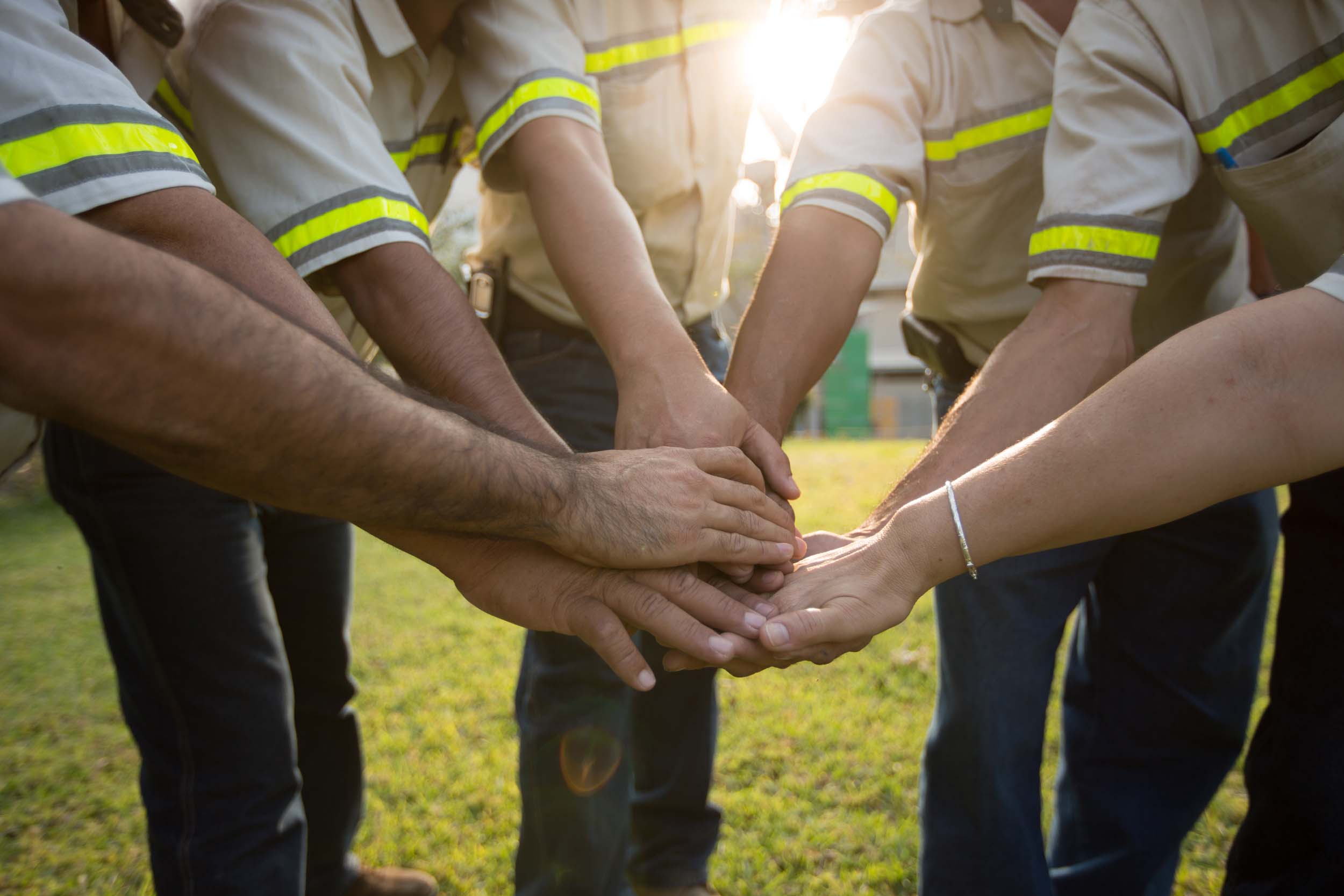 ¿Cómo notificar una buena conducta o incumplimiento del COVEC? | Progreso